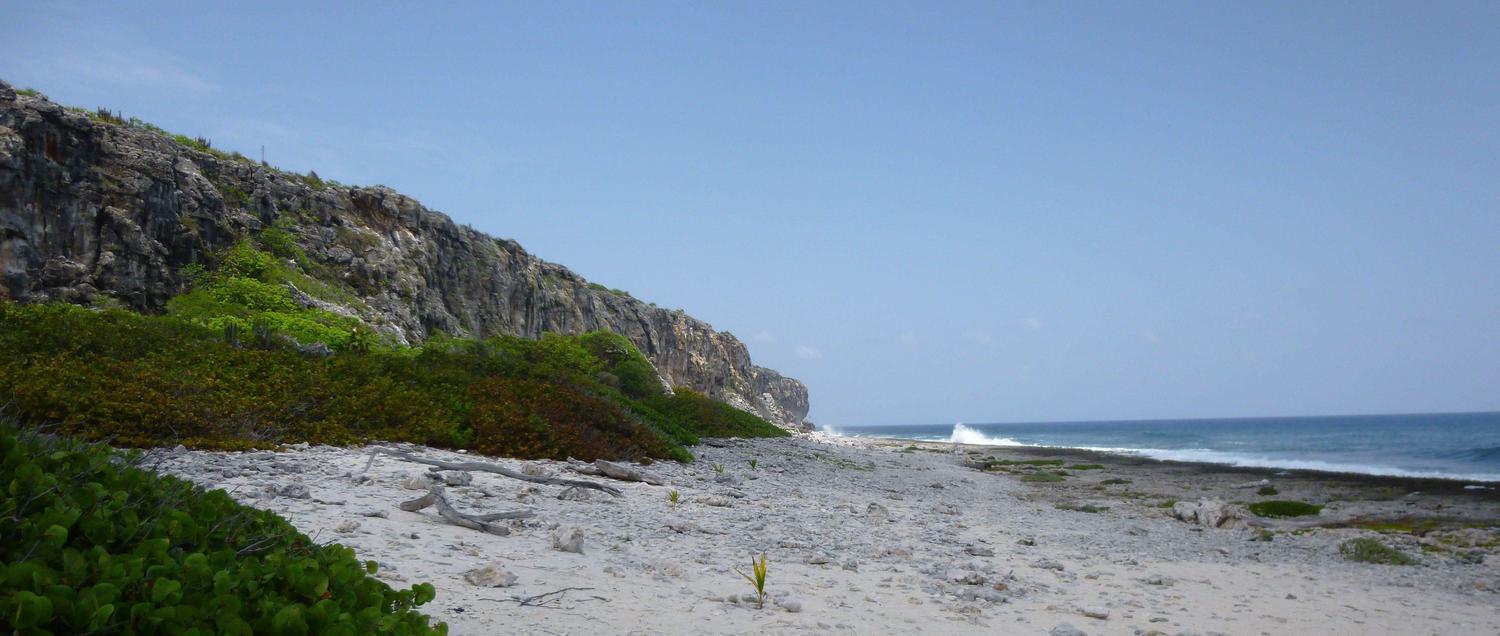 Cayman Brac Bluff from the ground
