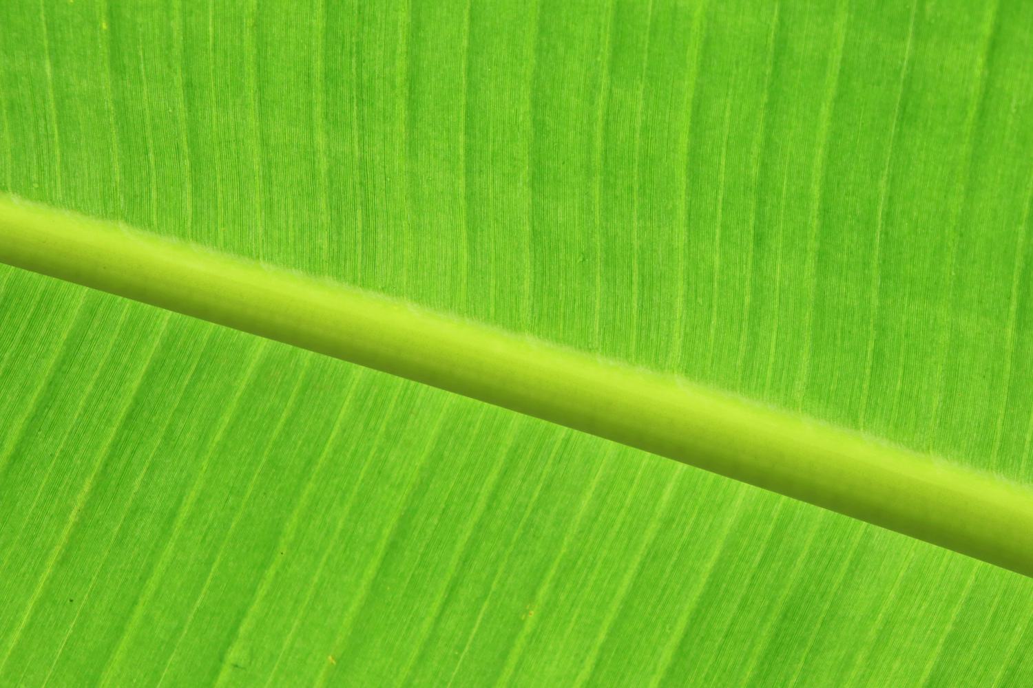 Caymans Green Community hero image
