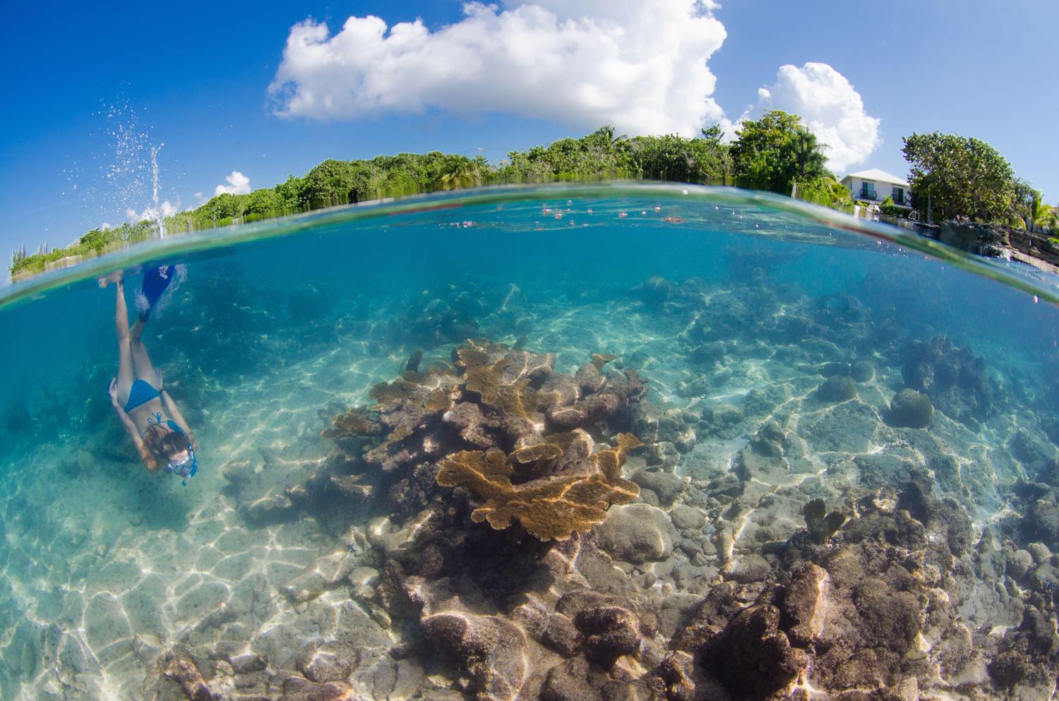 Over under of woman with blue fins and blue bikini freediving