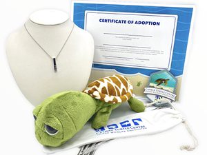 Adoption gift set