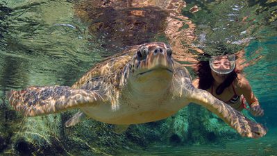 Cayman Turtle Centre