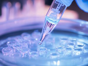 Cryopreservation of Cells