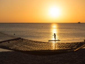 Hammock Sunset Paddle Board