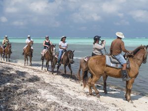 Horseback Riding Beach Cayman