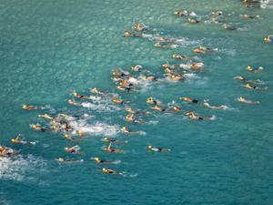 Large open water swimming race