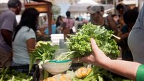 Market Day Rebecca Davidson