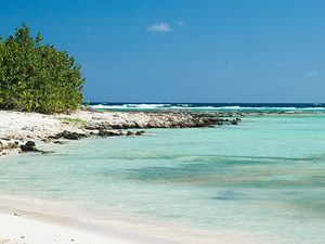 Owen Island Little Cayman