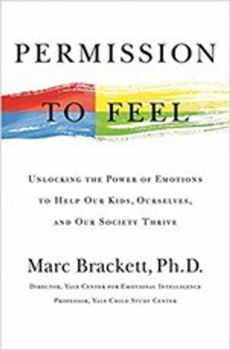 PERMISSION TO FEEL BOOK