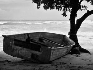 Black and white photo of a row boat on the beach under a tree