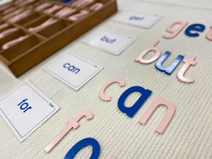 Reading Specialist article photo