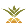 Strand Pineapple