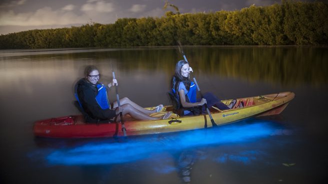 Two kayakers paddling through ioluminescence at night