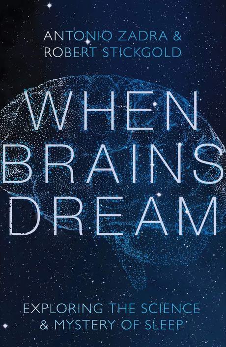 When brains dream