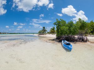 Beachy view of Sand Cay at Little Cayman with a blue kayak
