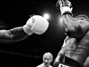 Boxing and mma hero image