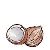 Coconuts