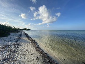 Crystal clear ocean and natural beach at barkers national park