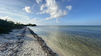 Crystal clear ocean and natural beach at barkers national park
