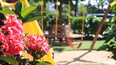 Focus on tropical red plant with soft focus swings in background