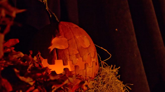 Jack o lantern set amidst autumnal display