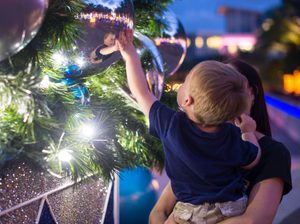 Little boy touching christmas decor on tree in camana bay