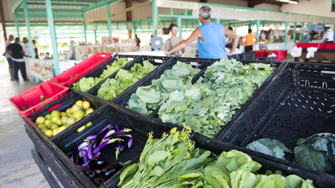 Local vegetables at the farmers market