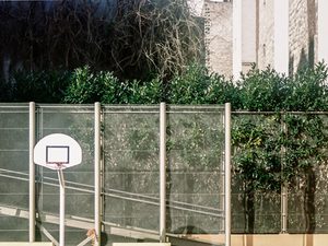 Netball NEW HERO IMAGE