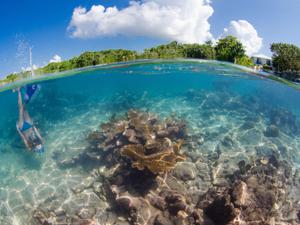 Over under of woman with blue fins and blue bikini freediving