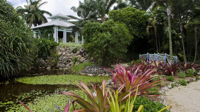 Overlooking the pond and gazebo at the botanic park