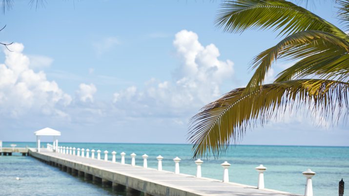 Rum point dock with palm tree on right of image
