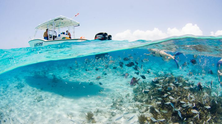 Snorkeler swimming over under with a boat in the background