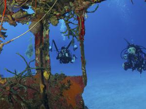 Two divers looking at coral through a shipwreck