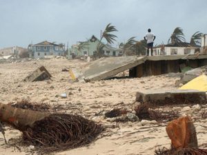 Uprooted trees and stormy seas along the beach from hurricane Ivan