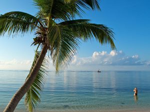 View of a shipwreck on an ocean calm as glass with a single palmtree and bather